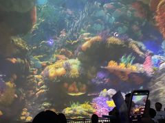 -烟台海昌鲸鲨海洋公园