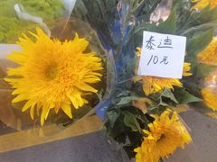 -三圣花乡旅游区