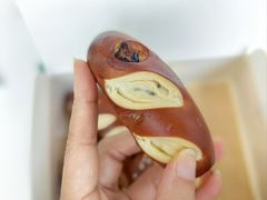 -WHEN PIGS FLY当猪飞
