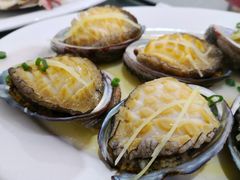 鲍鱼-蚝专家(北滘店)