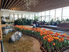 -Seesaw Coffee(朝阳大悦城店)