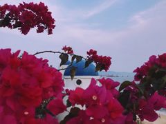 -玫瑰海岸文化旅游度假区