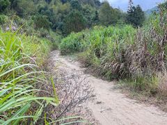 -韶关经律论国际酒店温泉