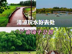 -南海子公园
