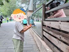 -北京鹿世界主题园