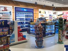 -米兰马尔彭萨国际机场