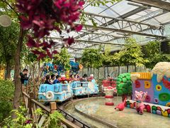 -南宫五洲植物乐园