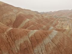 -清真·伊清阁餐厅