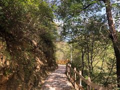 -大岭沟猕猴桃谷风景区