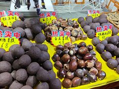 -天津梅江会展中心