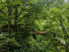 -三千院