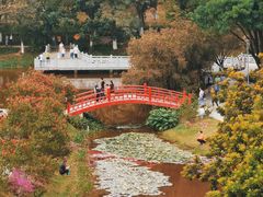 -东莞植物园