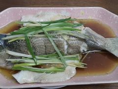 -田螺阿姨自营月嫂·育儿嫂(高新店)