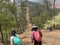-青龙山国家森林公园