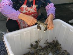 -乡乐园蟹庄·阳澄湖农家乐