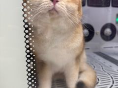 -FAELING PETS美天灵宠物(富力广场店)