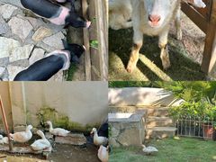 -HERRE·FARM 赫尔露营农场·团建聚会包场