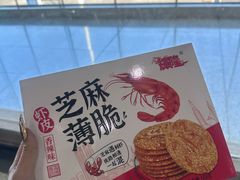 -宜春明月山机场