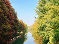 -昆山城市生态森林公园