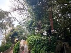 -九龙公园