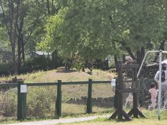 -田园东方蜜桃村的田野营地