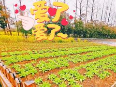 -前小桔亲子创意农场·草莓采摘·露营烧烤