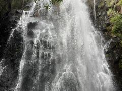 -马峦山郊野公园