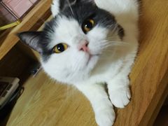 -美联众合24小时·皮肤科·外科·全科诊疗中心(华苑分院)