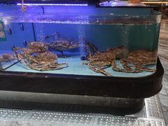 -阿伟海鲜楼·福建菜(延寿店)