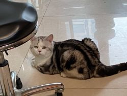 -众刺纹画·纹身·穿孔饰品·海娜定制