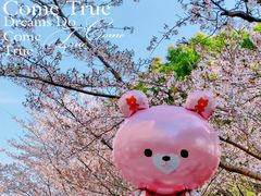 -高东镇樱花园