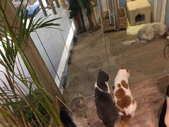-小时光咖啡馆(开森度假森林店)