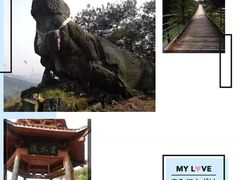 -铁山坪森林公园