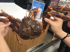 -盒马鲜生(大成店)