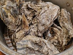 -臻炙大舍烤串(天龙家园店)