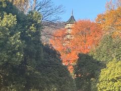 -灵谷景区