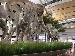 -曼谷素万那普国际机场