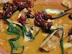 -柿合缘新京菜(国金中心商场店)