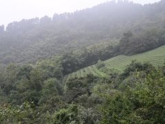 -敬亭山风景名胜区