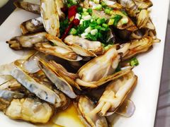 -金海湾海鲜排档(朱家尖店)