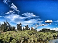 -宝安西湾红树林湿地公园