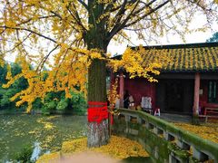 -佛荫寺