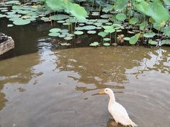 -木塔寺遗址生态公园