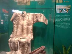 -中国湿地博物馆