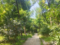 -阳台山自然风景区
