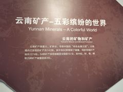 -昆明市博物馆(昆明市文物保护和考古研究中心)