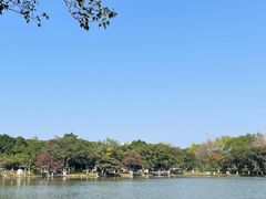 -番禺大夫山森林公园