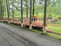 -黄海国家森林公园