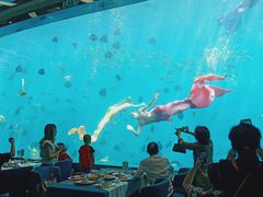 -瑞德姆美人鱼海底演艺主题餐厅(亚龙湾店)