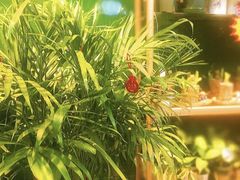 -红星美凯龙(东北全球家居1号店)